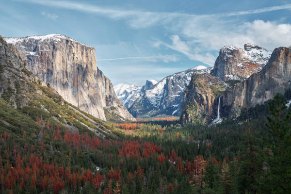 Yosemite parco